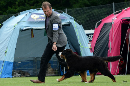 BIS 2a och BIS 3aVALP 6,5 m�n