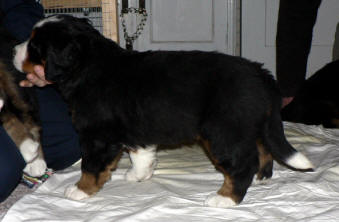 Isabel 5 veckor