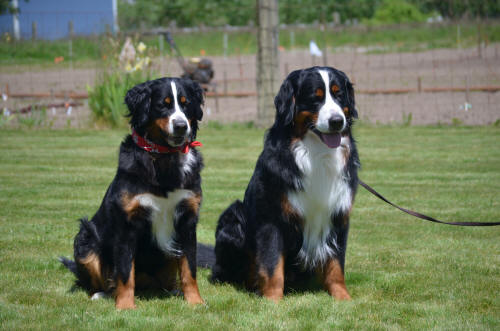 Libby och Espen 2�r 8 m�n