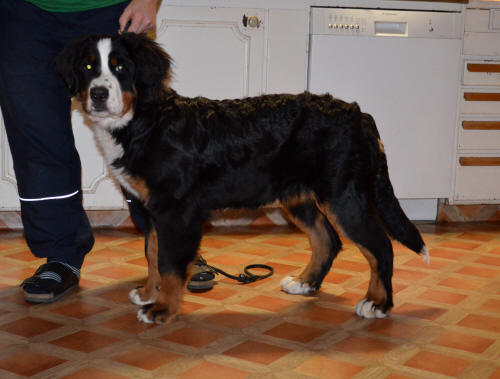 Stina Stubin 6 months