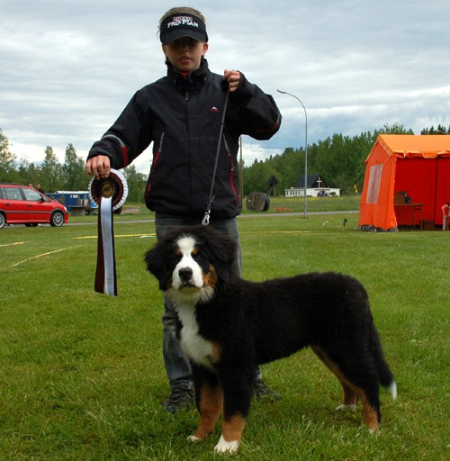 Viktor 11 år Vann Barn med hund i Karlskoga 09, Qulan ca 4,5 mån